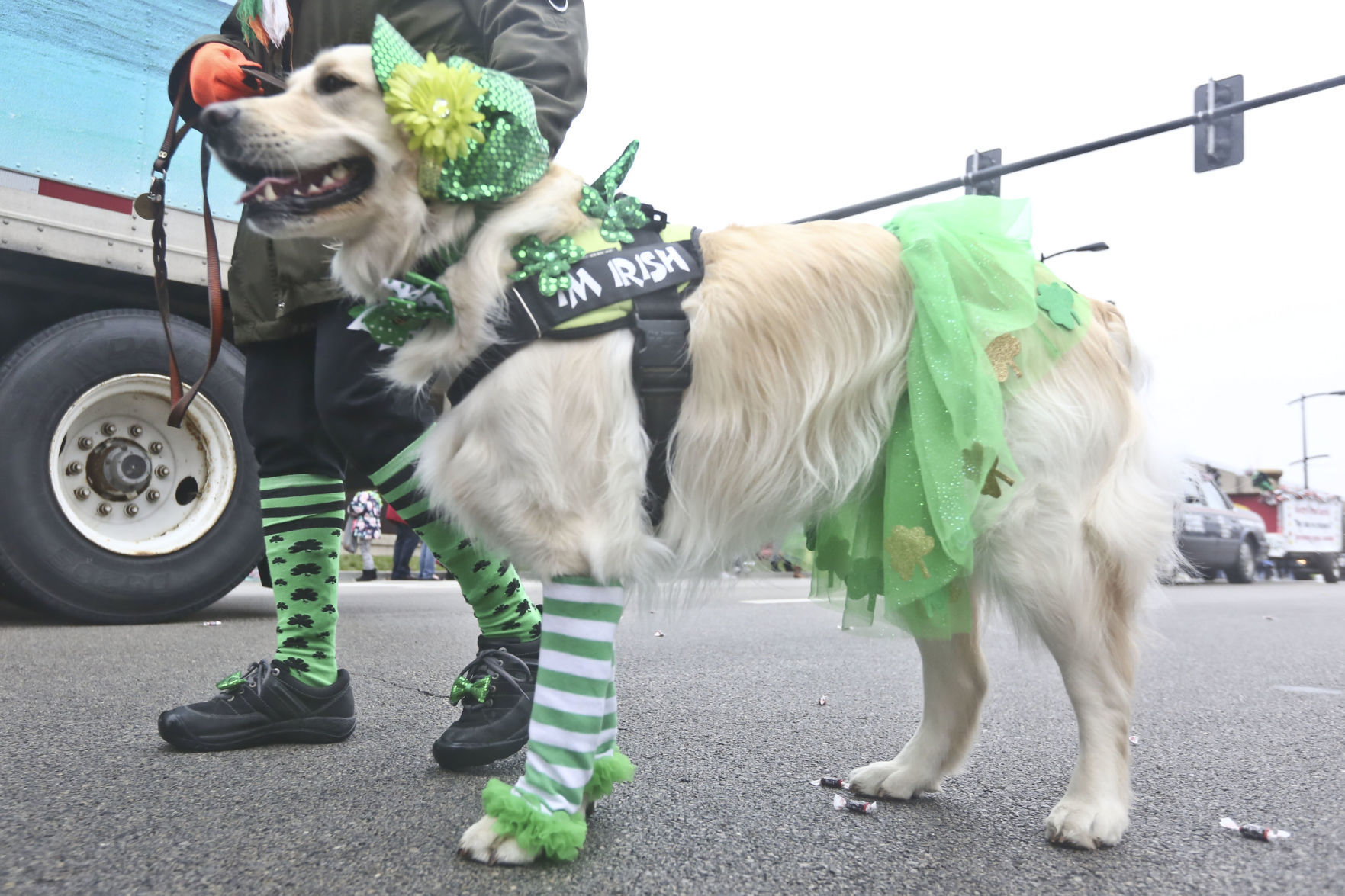 st_patricks_parade 31 03.17.18.jpg
